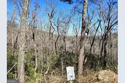 0 Ivy Ridge Way #LOT 50, Clarkesville, GA 30523 - Photo 17