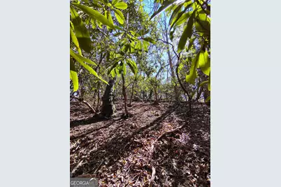 0 Ivy Ridge Way #LOT 50, Clarkesville, GA 30523 - Photo 9