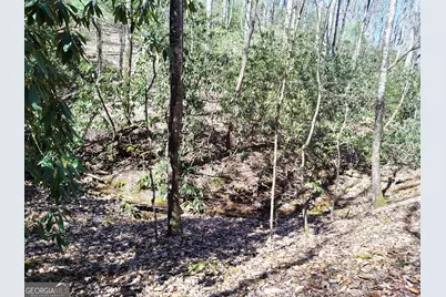 0 Ivy Ridge Way #LOT 50, Clarkesville, GA 30523 - Photo 21