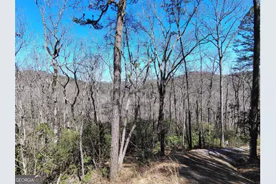 0 Ivy Ridge Way #LOT 50, Clarkesville, GA 30523 - Photo 13