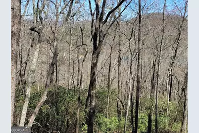 0 Ivy Ridge Way #LOT 6, Clarkesville, GA 30523 - Photo 17