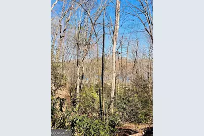 0 Ivy Ridge Way #LOT 6, Clarkesville, GA 30523 - Photo 3