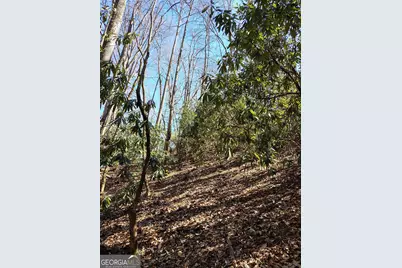 0 Ivy Ridge Way #LOT 6, Clarkesville, GA 30523 - Photo 7