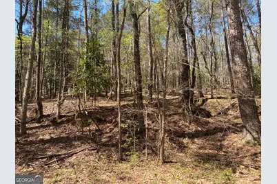 0 Sandra Drive, Gray, GA 31032 - Photo 3