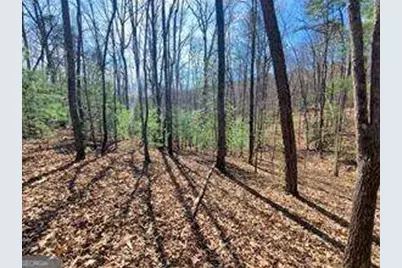 0 Trails End Summit, Ellijay, GA 30540 - Photo 9