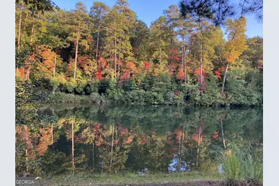 404 Golden Delicious Road, Clarkesville, GA 30523 - Photo 107