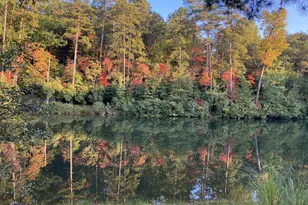 404 Golden Delicious Rd, Clarkesville, GA 30523 - Photo 107