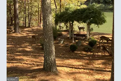 404 Golden Delicious Road, Clarkesville, GA 30523 - Photo 109