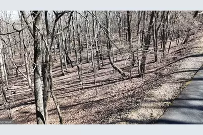 125 Grey Eagle Drive, Waleska, GA 30183 - Photo 3