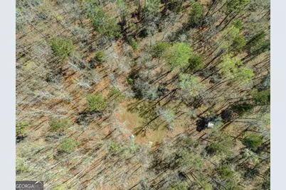 0 Carrs Station Road, Sparta, GA 31087 - Photo 23