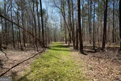 0 Carrs Station Road, Sparta, GA 31087 - Photo 35