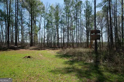 0 Carrs Station Road, Sparta, GA 31087 - Photo 3