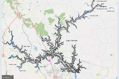 0 Carrs Station Road, Sparta, GA 31087 - Photo 47