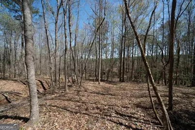 0 Carrs Station Road, Sparta, GA 31087 - Photo 17