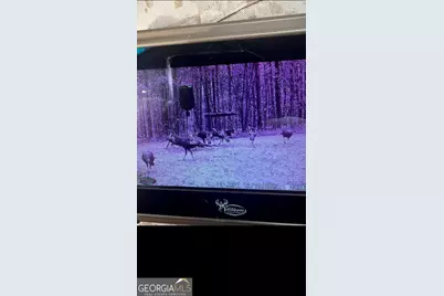 0 Carrs Station Road, Sparta, GA 31087 - Photo 43