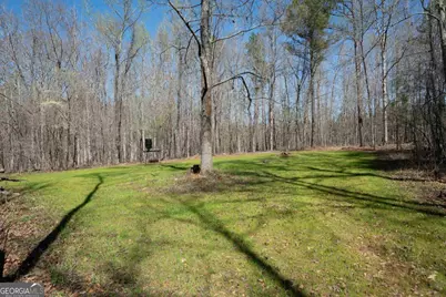 0 Carrs Station Road, Sparta, GA 31087 - Photo 37