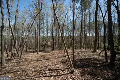 0 Carrs Station Road, Sparta, GA 31087 - Photo 19