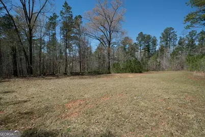 0 Carrs Station Road, Sparta, GA 31087 - Photo 15