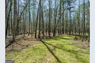 0 Carrs Station Road, Sparta, GA 31087 - Photo 31