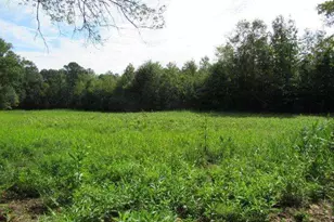 101 Winding Rd, Bowdon, GA 30108 - Photo 1
