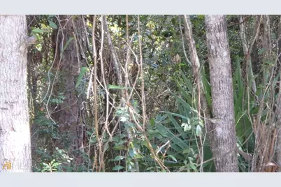 V/L 21 Lighthouse Circle, Woodbine, GA 31569 - Photo 3