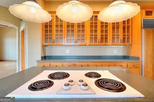 139 Harris Ln, LaFayette, GA 30728 - Photo 15