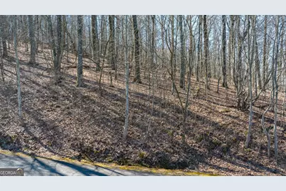 0 Mountainside Drive, Cleveland, GA 30528 - Photo 21