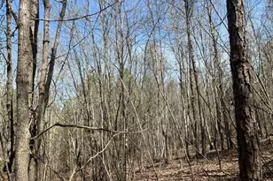 16 Unbridled Rd, Rome, GA 30161 - Photo 1