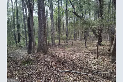 75 Lee Lane, Greenville, GA 30222 - Photo 13