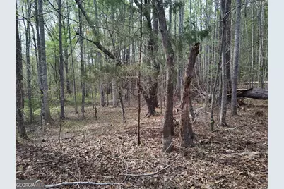 75 Lee Lane, Greenville, GA 30222 - Photo 1