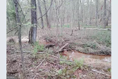 75 Lee Lane, Greenville, GA 30222 - Photo 3