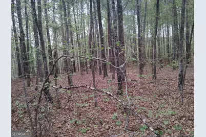 75 Lee Lane, Greenville, GA 30222 - Photo 9