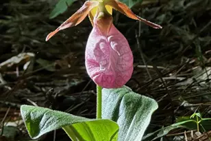 310 Austin Rd, Newnan, GA 30263 - Photo 25