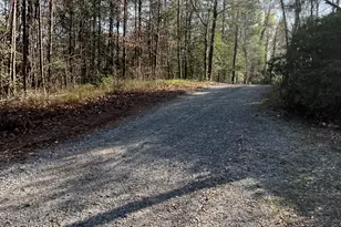 169 Wild Horse Cove Cir, Cleveland, GA 30528 - Photo 13