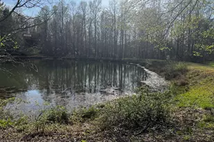 169 Wild Horse Cove Cir, Cleveland, GA 30528 - Photo 9