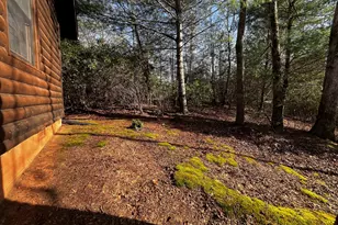 169 Wild Horse Cove Cir, Cleveland, GA 30528 - Photo 33