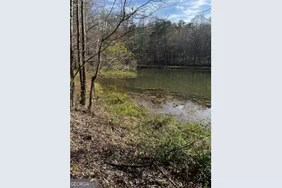 169 Wildhorse Cove Circle, Cleveland, GA 30528 - Photo 5