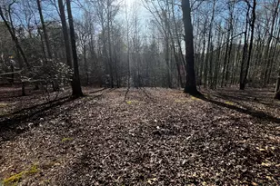 169 Wild Horse Cove Cir, Cleveland, GA 30528 - Photo 27