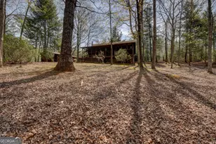 169 Wild Horse Cove Cir, Cleveland, GA 30528 - Photo 17