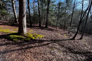 169 Wild Horse Cove Cir, Cleveland, GA 30528 - Photo 31