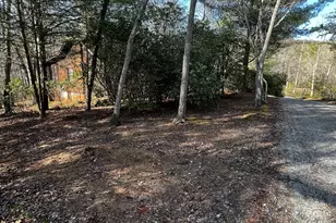 169 Wild Horse Cove Cir, Cleveland, GA 30528 - Photo 33