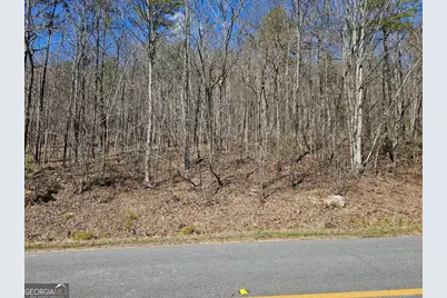 0 Prior Station Road #TRACT 4, Cedartown, GA 30125 - Photo 9