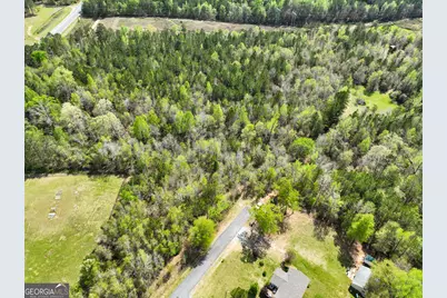0 Highway 80 LOT #2, Dry Branch, GA 31020 - Photo 3