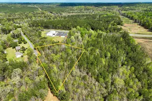 0 Hwy 80, Dry Branch, GA 31020 - Photo 1