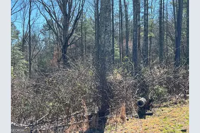 Lot 173 Highland Park, Blairsville, GA 30512 - Photo 3