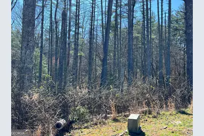 Lot 173 Highland Park, Blairsville, GA 30512 - Photo 23