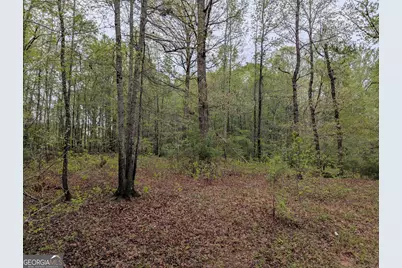 0 Fischer Spur Road, Newnan, GA 30265 - Photo 3