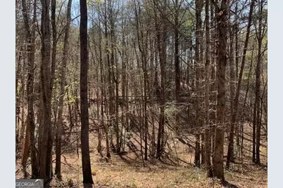 0 Townview Drive, Cleveland, GA 30528 - Photo 7