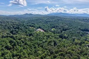 136 Honeybell Ln, Blairsville, GA 30512 - Photo 67