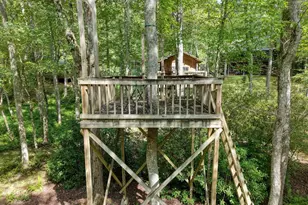 136 Honeybell Ln, Blairsville, GA 30512 - Photo 59